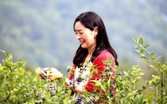 无人区大片中文字幕